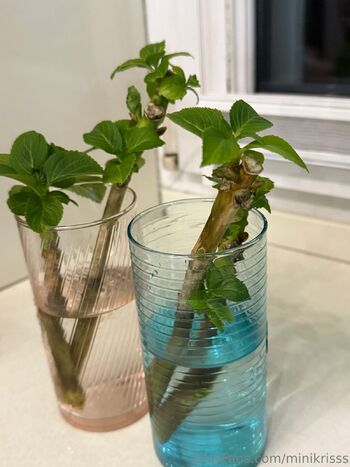 Mini Kriss / minikrisss nude photo #5