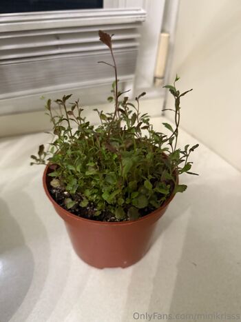 Mini Kriss / minikrisss nude photo #9