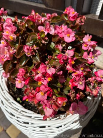 Mini Kriss / minikrisss nude photo #27