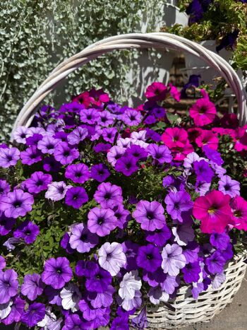 Mini Kriss / minikrisss nude photo #31