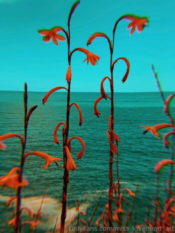 Miss Love Hear / miss_loveheart_art nude photo #28