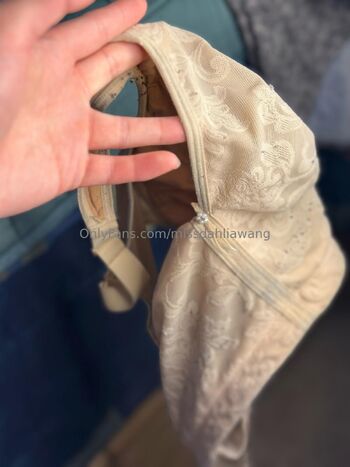 Dahlia Wan / missdahliawang / miss_dahlia.wang nude photo #10