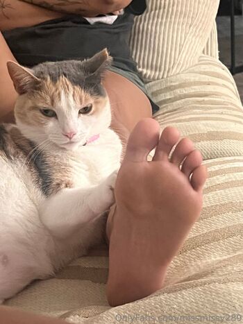 Miss / missmissy289 nude photo #16