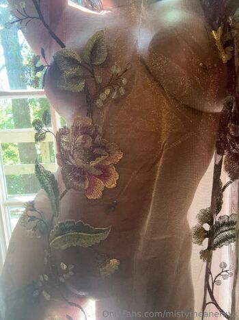 MistyMeanerxx / mistymeanerxxx / notmistymeaner / missdemeanor_2 nude photo #8