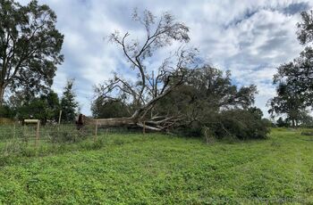 MistyMeanerxx / mistymeanerxxx / notmistymeaner / missdemeanor_2 nude photo #36