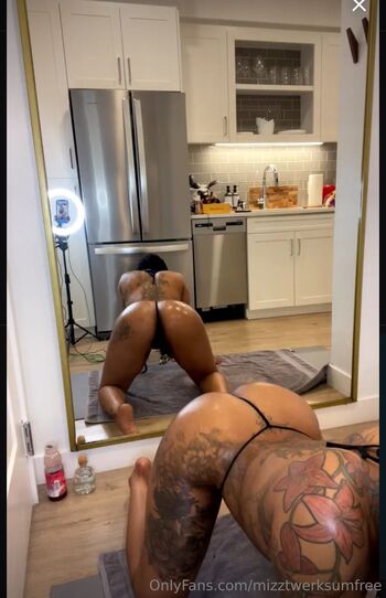 Mizztwerksumfreeno / mizztwerksumfree nude photo #26