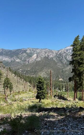 Molly Stewar / mollycollection nude photo #21