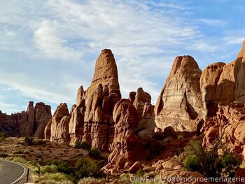 Monroe Menageri / monroemenagerie nude photo #12