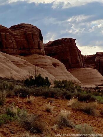 Monroe Menageri / monroemenagerie nude photo #13