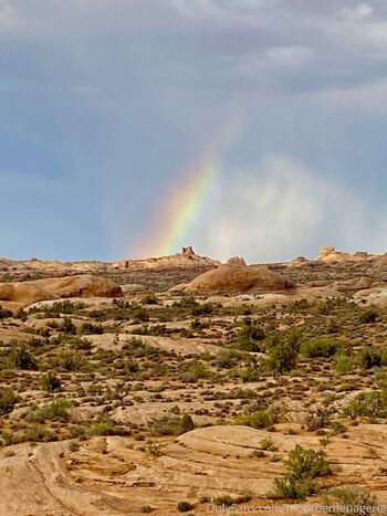 Monroe Menageri / monroemenagerie nude photo #14