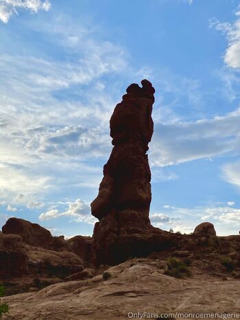 Monroe Menageri / monroemenagerie nude photo #15