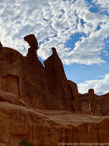 Monroe Menageri / monroemenagerie nude photo #16