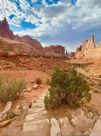 Monroe Menageri / monroemenagerie nude photo #17