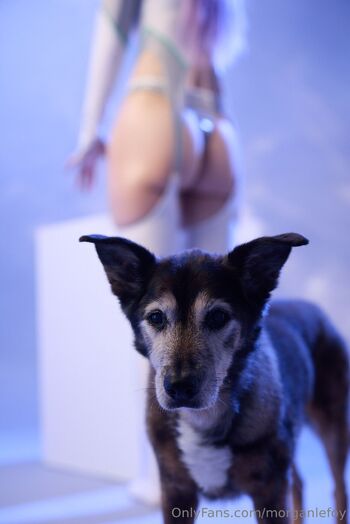 MorganLeFo / morganlefoy nude photo #7