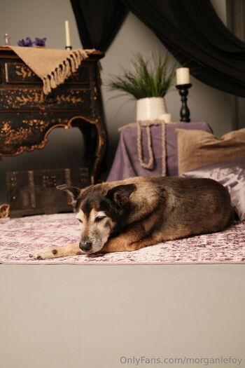 MorganLeFo / morganlefoy nude photo #9