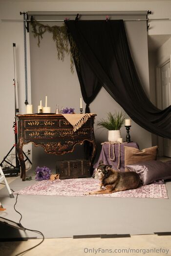 MorganLeFo / morganlefoy nude photo #10