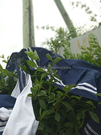 Laik / mylaika / only.mylaika / onlylaika_x nude photo #11