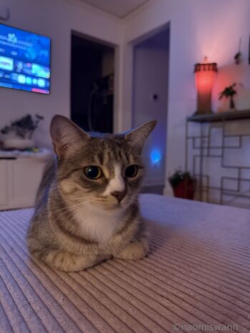 Naomi / naomiswann / naomiswann_xo / itsnaomiswann nude photo #25