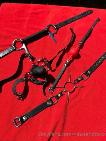 Nina Tend / ninatendoxxx / ninaxtendo nude photo #38