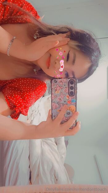 Nintendon / nintendonttouch nude photo #6