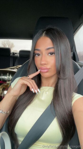 Noura Gol / nouraxgold nude photo #7