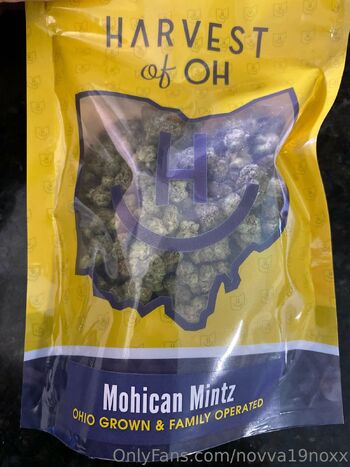 Novva Noxx 𝒻𝓇𝑒𝑒 / novva19noxx nude photo #18