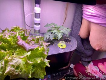 Novva Noxx 𝒻𝓇𝑒𝑒 / novva19noxx nude photo #21