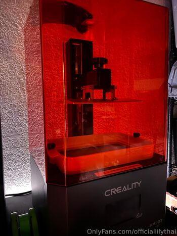 Lily Tha / officiallilythai nude photo #11