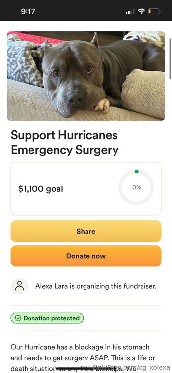 XOLEX / og_xolexa nude photo #2