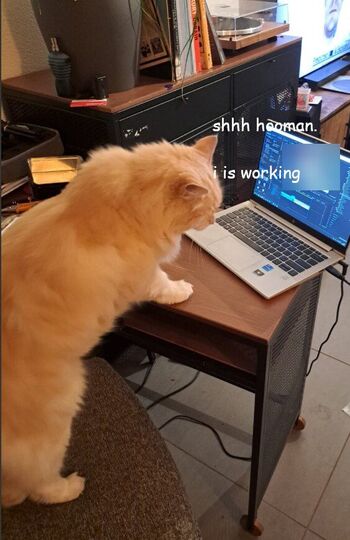 Onlyfwen / onlyfwens69 nude photo #2