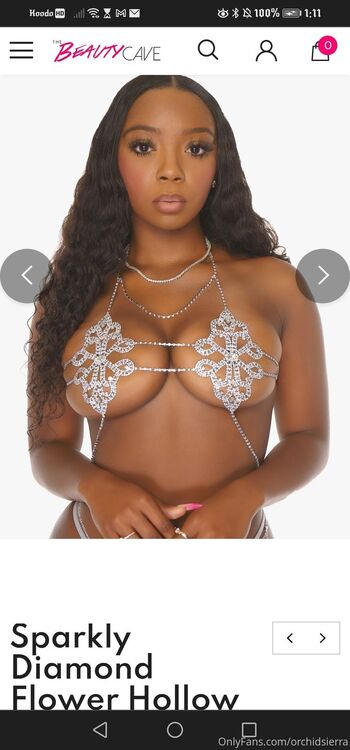 OnlyFans / orchidsierra nude photo #36