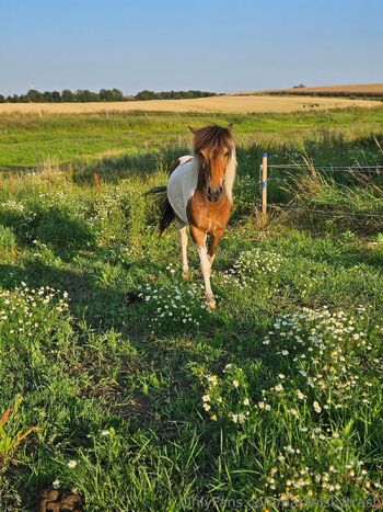 NO. 1 HAIRY Goth PUSSY / pastelskytrash nude photo #19