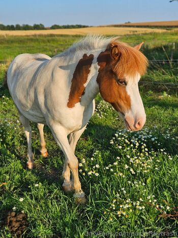 NO. 1 HAIRY Goth PUSSY / pastelskytrash nude photo #21