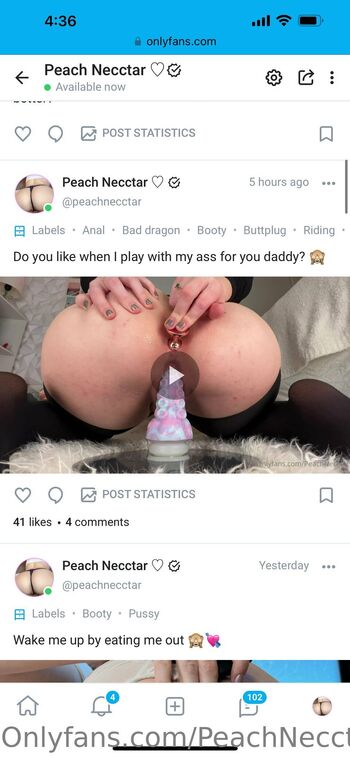 Peach Necctar / peachnecctarfree / peach.necctar / peachxnecctar nude photo #4