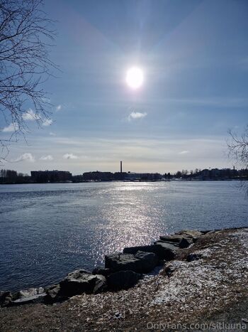 Shiili / pikkusiili nude photo #18