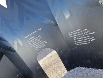 Shiili / pikkusiili nude photo #21