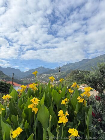 Little Poll / pollylittlecaprice nude photo #26