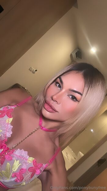 𝐏𝐨𝐧𝐲 𝐁𝐮𝐧𝐧𝐲 𝐓𝐬 𝐓𝐨𝐩 𝐒𝐞𝐥𝐥 𝐕𝐢𝐝𝐞𝐨 𝐂𝐚𝐥 / ponybunyfree nude photo #19