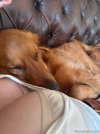 Rosealin / porcelaingoirl nude photo #12