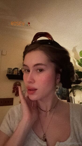 Rosealin / porcelaingoirl nude photo #21