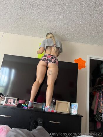 Lenachk / prettypixie23 nude photo #4