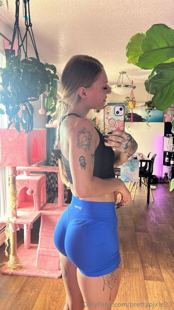 Lenachk / prettypixie23 nude photo #7