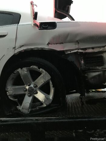 Prettyzoexxxfree / prettyzoe nude photo #9