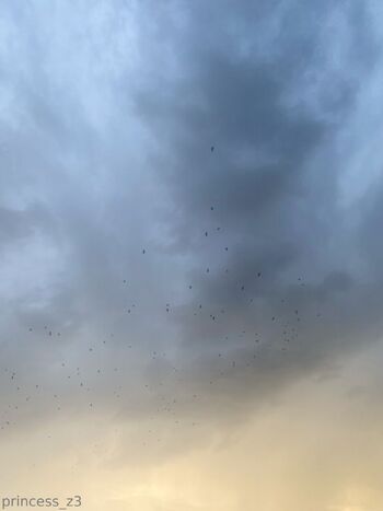 zoe / princess_z3 nude photo #2