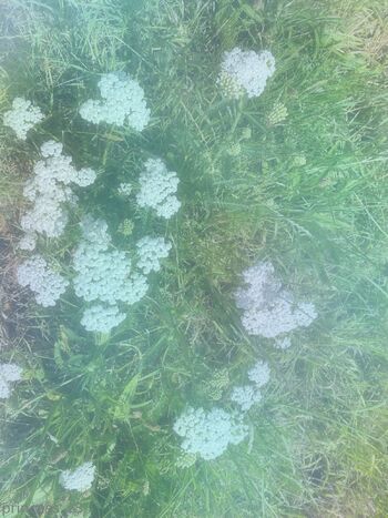 zoe / princess_z3 nude photo #4