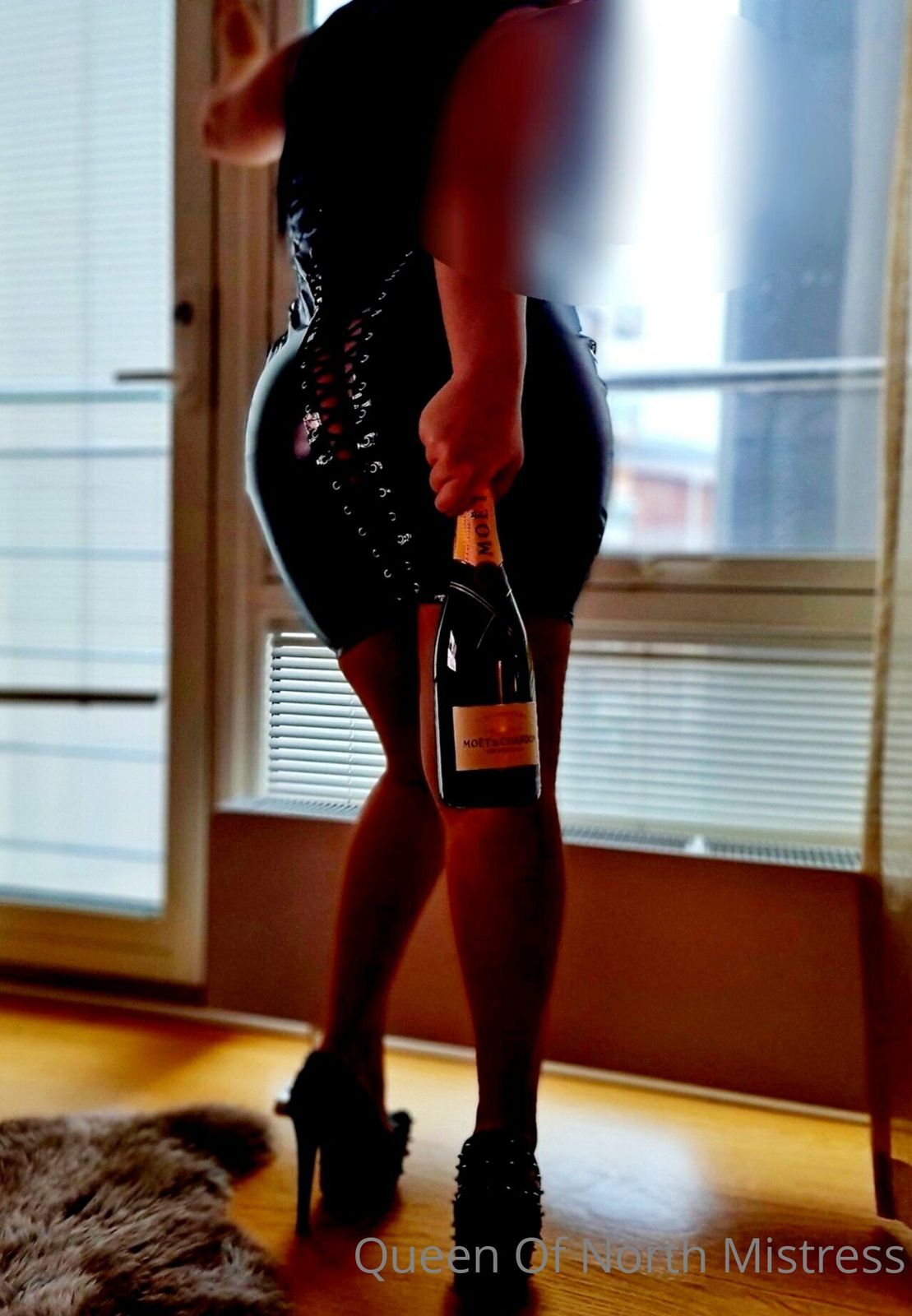 Queen Of North Free / queen_of_north_mistress / mistres39490097 nude photo #18