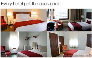 OnlyFans / queenofcuckolds nude photo #16