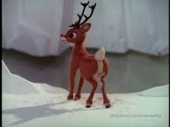 RaeRaeFo / raeraefox nude photo #2