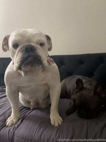 Harley Jade Fre / realharleyjadefree nude photo #3