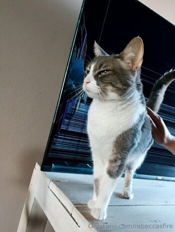 OnlyFans / rebeccasfire nude photo #32